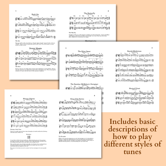Top 10 Celtic Tunes - Digital PDF Download