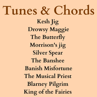 Top 10 Celtic Tunes - Digital Download