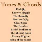 Top 10 Celtic Tunes - Digital Download